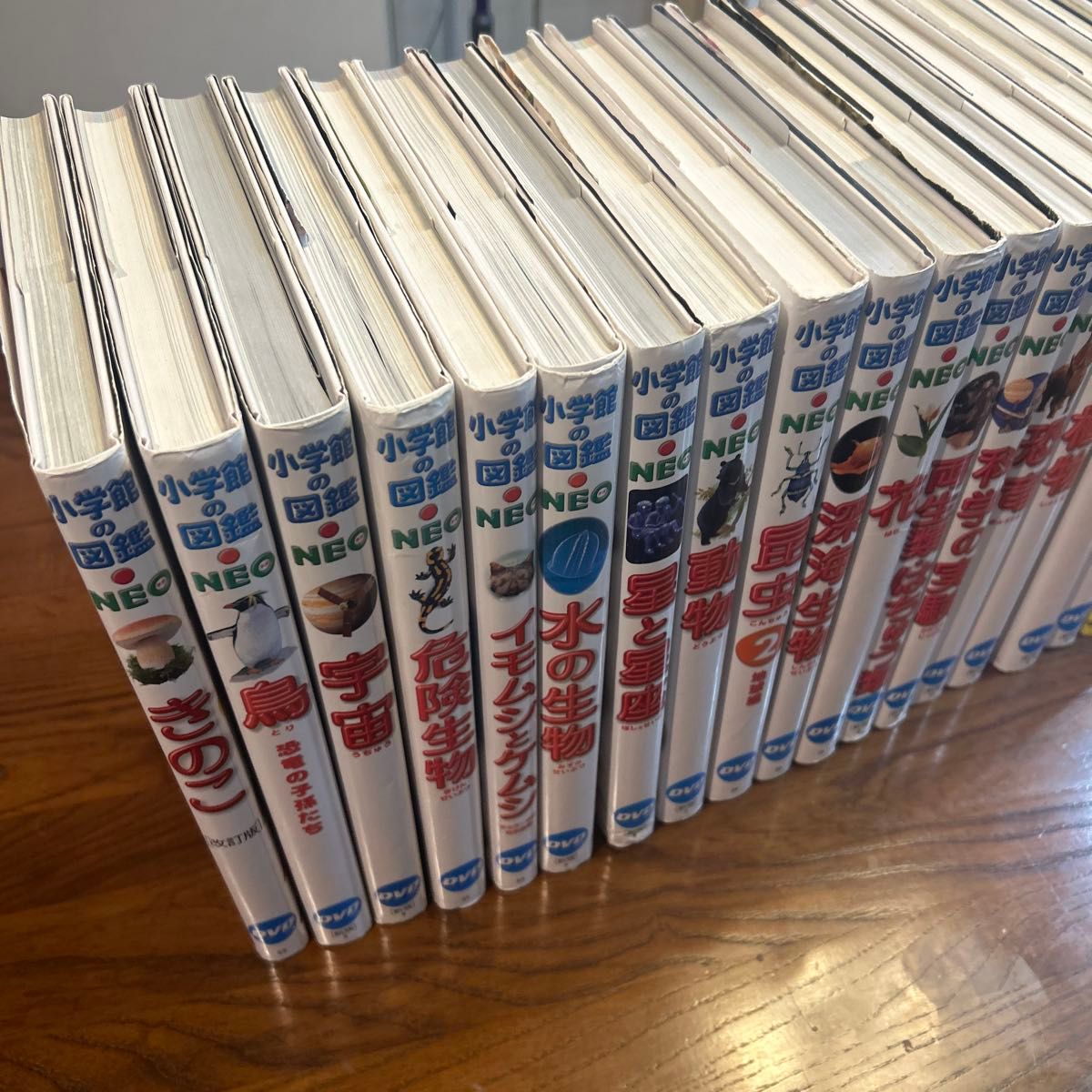 【DVD無し】小学館の図鑑neo 18冊まとめ/自由研究・知育本/図鑑中古本 DVD無し】小学館の図鑑neo 18冊まとめ/自由研究・知育本/図鑑