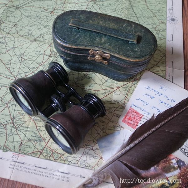 【ナポレオンの蜜蜂が届けるオペラグラス】フランス アンティーク 双眼鏡 ケース付 ルメール ◆Antique Opera Glasses by LEMAIRE PARIS◆_画像1