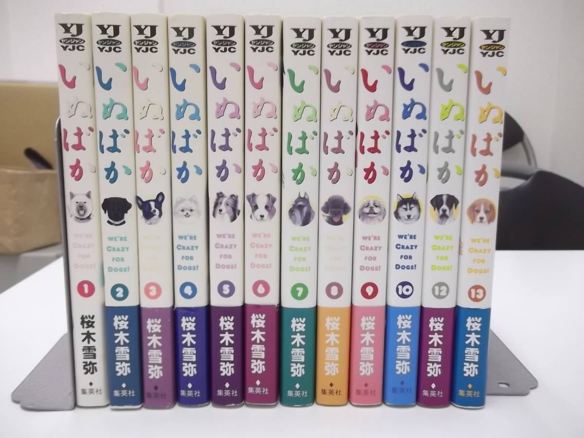 72-00398 - いぬばか 1～13巻セット 11巻抜け 未完 桜木雪弥(集英社) レンタル落ち シミ・水濡れ跡有 一部折れ・帯に破れ有 60サイズ_画像3