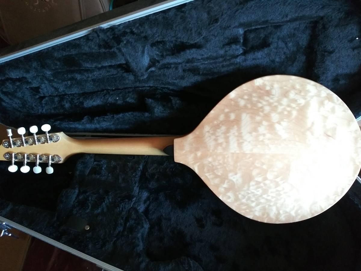  bleed Rav Quartz Oregon USA shaving (formation process during milling) top! beautiful quilt Maple! banjo killer 