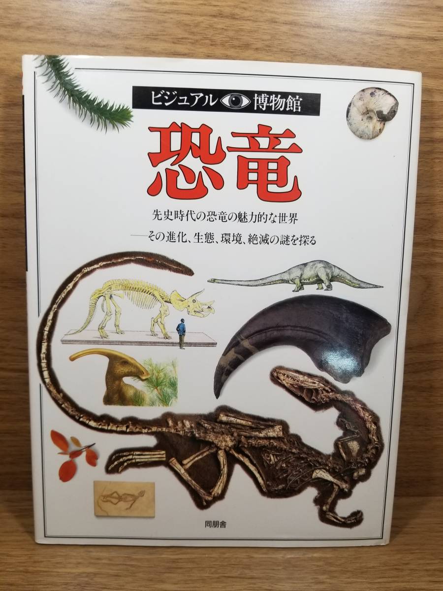 恐竜　先史時代の恐竜の魅力的な世界　その進化、生態、環境、絶滅の謎を探る_画像1