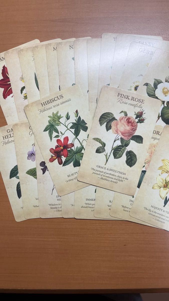 Botanical Inspirations: Deck & Book Set ボタニカルインスピレーション