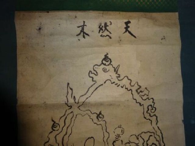  rare antique ... natural tree three Japanese cedar . Japanese cedar large black heaven . ratio . god turtle .. paper book@ autograph hanging scroll Buddhism temple . picture Japanese picture old fine art 