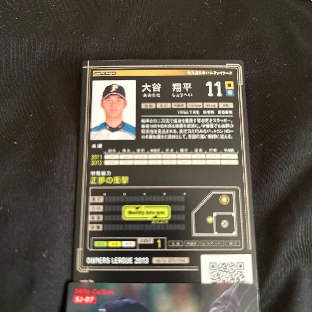 R*s様 大谷翔平 オーナーズリーグ psa10 ルーキー RC bbm 大谷 大谷翔平 ルーキーカード オーナーズリーグ Shohei Ohtani 2013