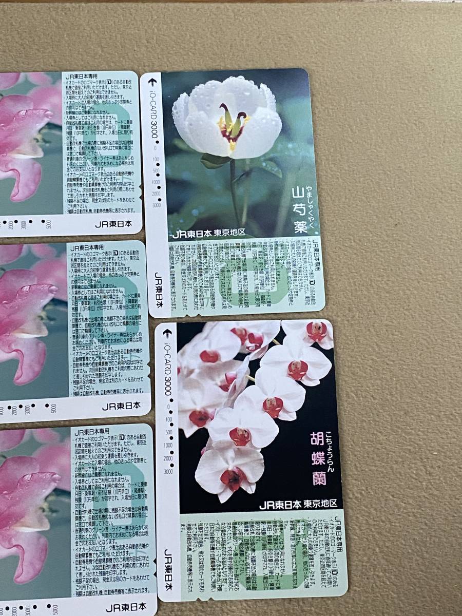 [ использованный ] io-card суммировать 17 шт. комплект 10 вид Dub . есть цветочный принт растения рисунок 