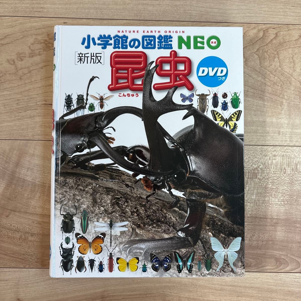 小学館の図鑑 NEO DVD 22枚 動作確認済み バラ売り不可 17304 小学館の図鑑NEO 昆虫 新版 DVDつき|Yahoo!フリマ(旧PayPay