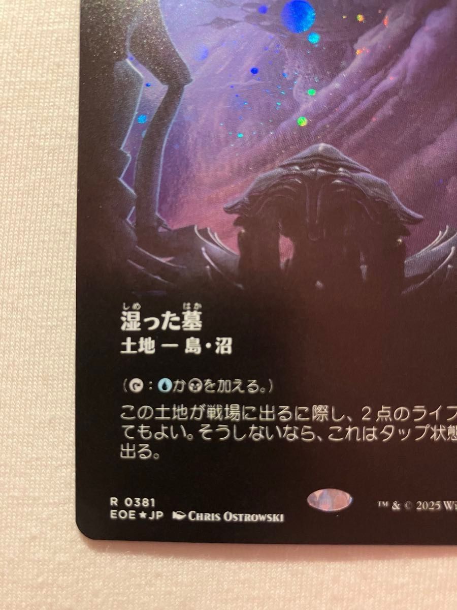 湿った墓 ギャラクシーFoil ボーダーレス 2枚 湿った墓 ギャラクシーFoil ボーダーレス 日本語 R0381 MTG