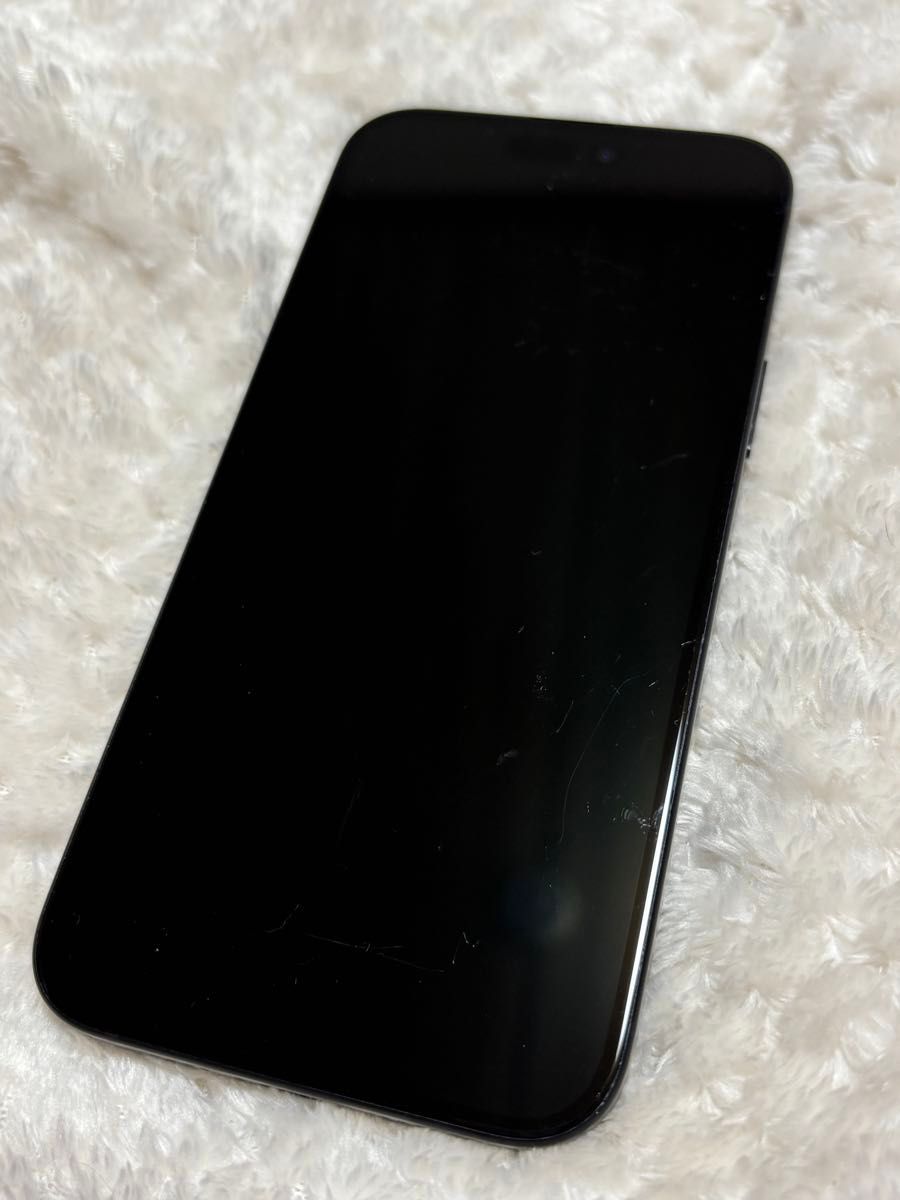 iPhone 15 Plus 128GB ブラック 純正バッテリー100% Apple iPhone15 Plus 128GB ブラック 中古 純正バッテリー容量