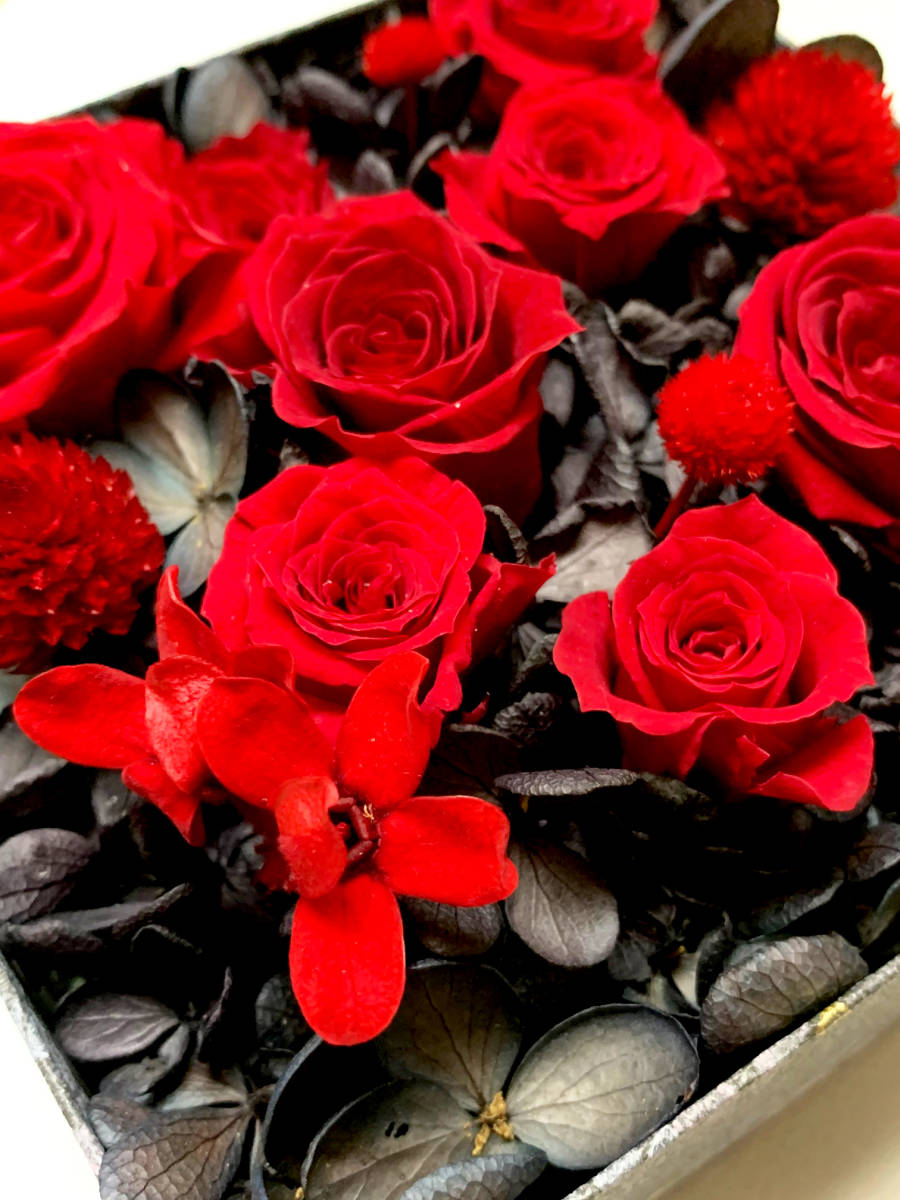  prompt decision with translation preserved flower box rose rose red black red × black purple . flower 00012