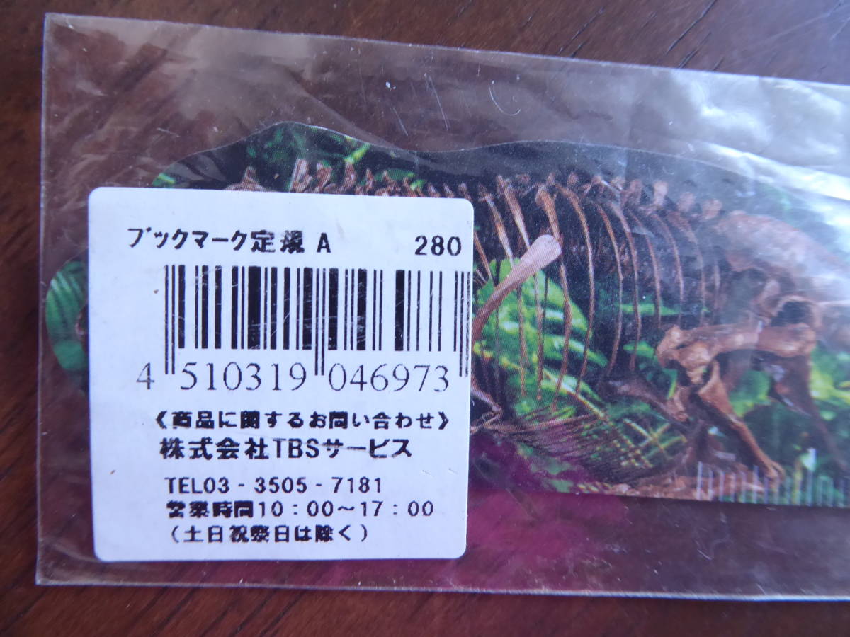 送料220円　恐竜　3体　ボールチェーン　キーホルダー　ステゴサウルス　恐竜博(2011）ブックマーク定規_画像6