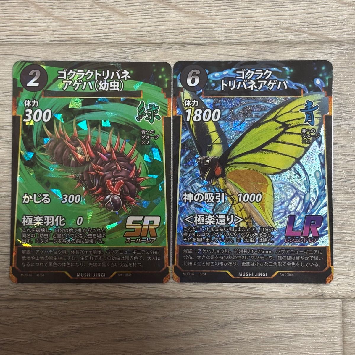蟲神器 第6弾 LR ゴクラクトリバネアゲハ 成虫・幼虫セット