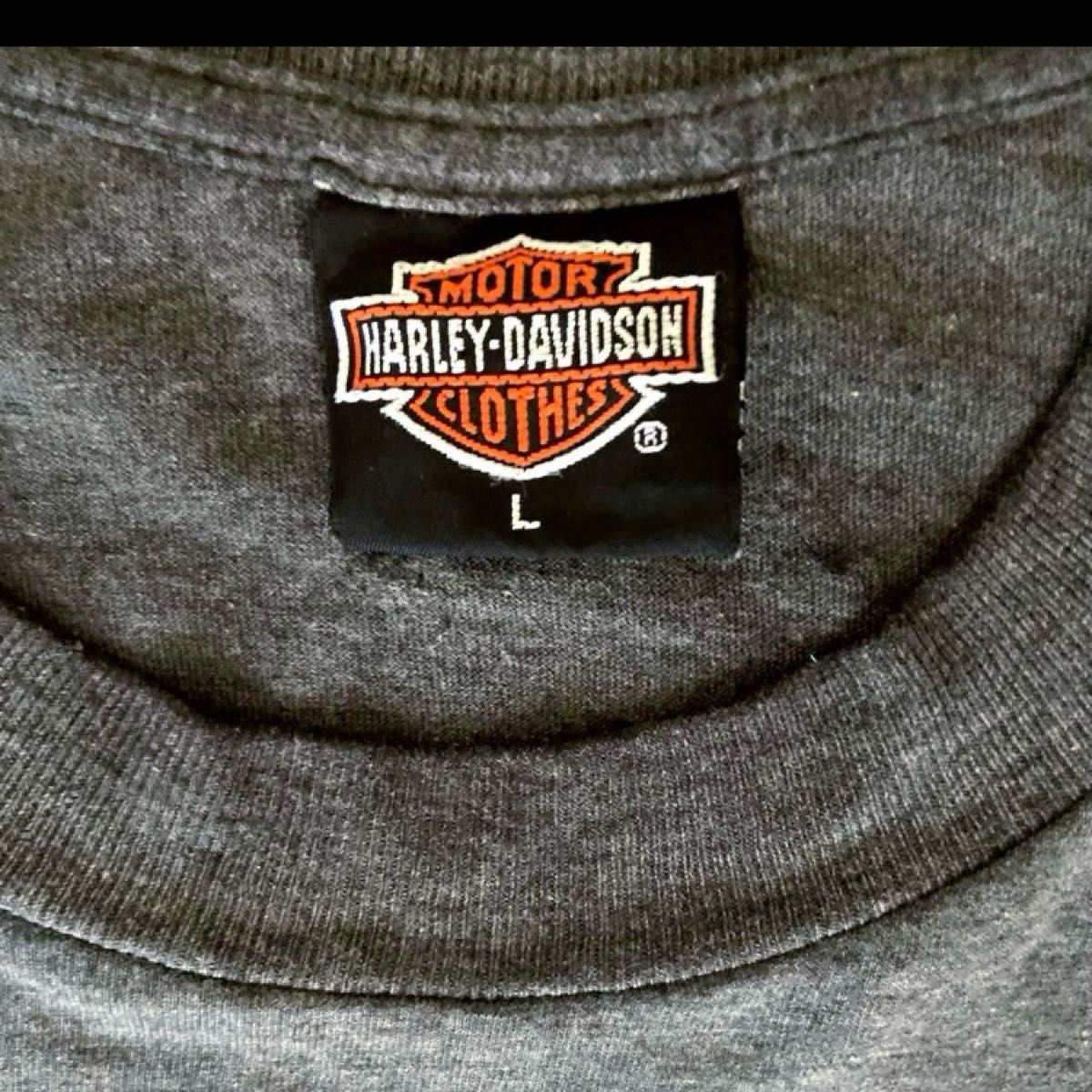 【超希少】80s ヴィンテージ HARLEY-DAVIDSON Tシャツ 超希少 80s USA製 3D EMBLEM HARLEY-DAVIDSON シャツ