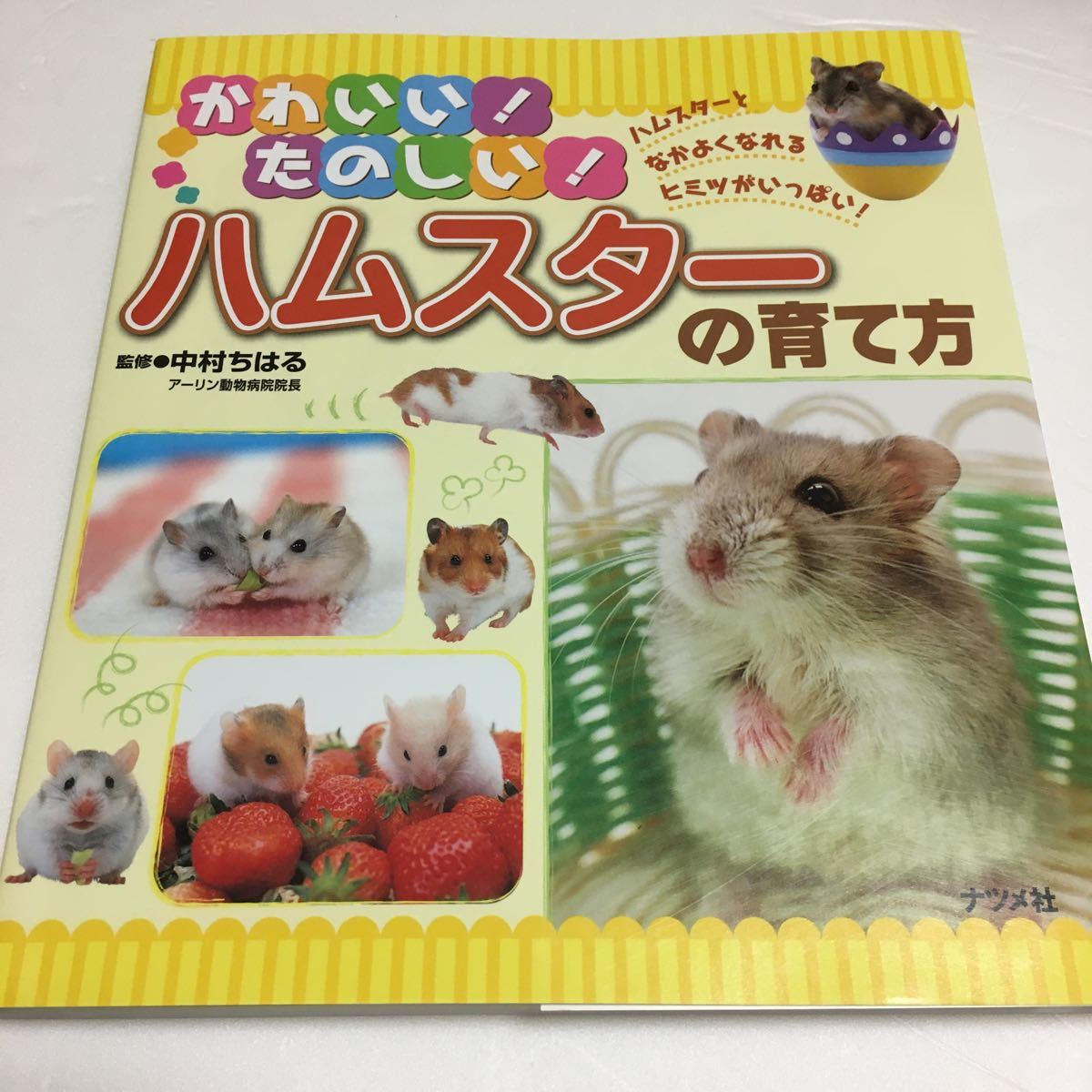 Paypayフリマ お値引き かわいい たのしい ハムスタ の育て方 中村ちはる Paypayフリマ お値引き かわいい たのしい ハムスタ の育て方 中村ちはる