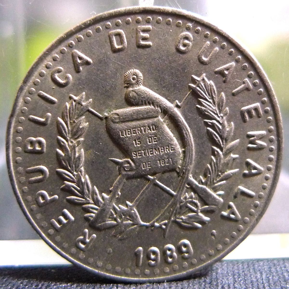 安慶名さま専用 X-Guard安全柵 - センターロック付きスライドドア | Axelent