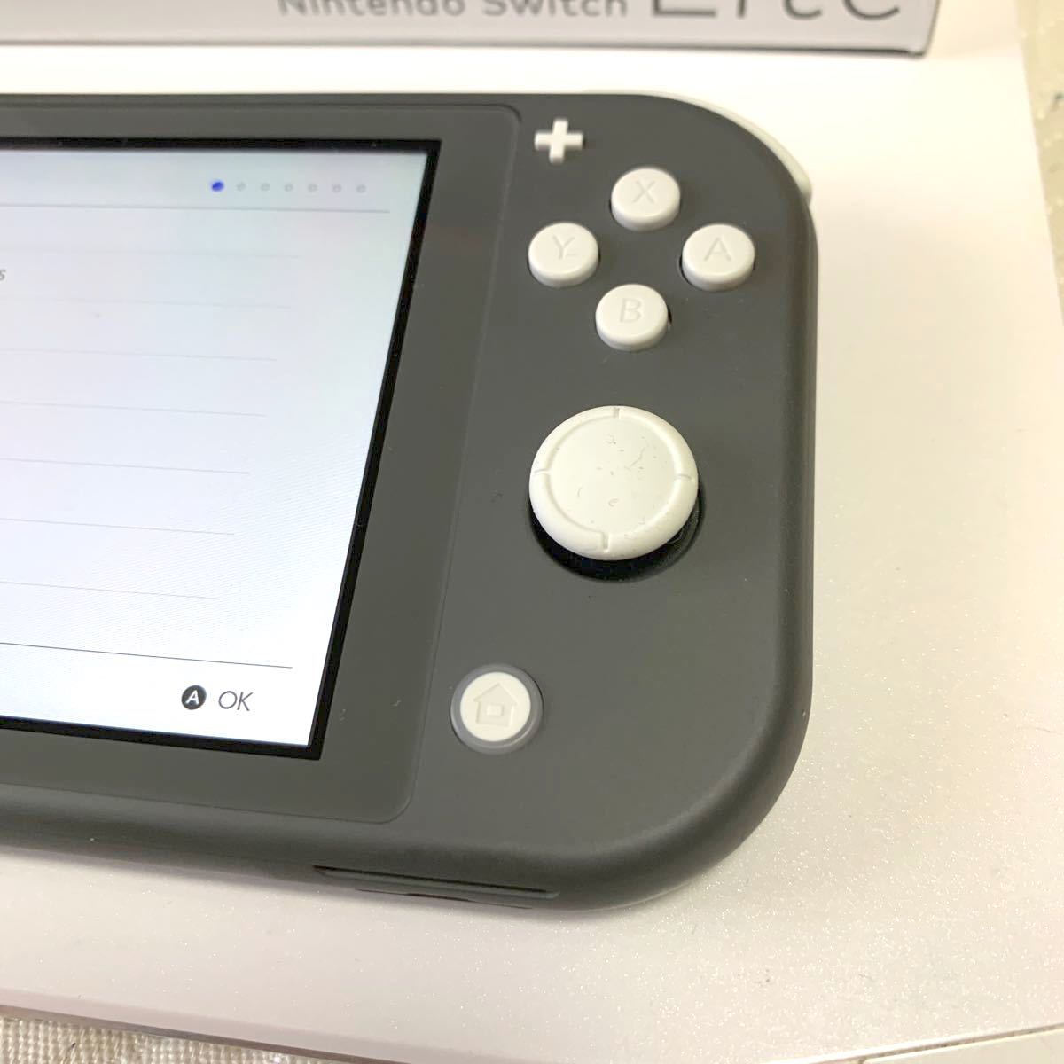 【即日発送】Nintendo Switch ライト　グレー　本体