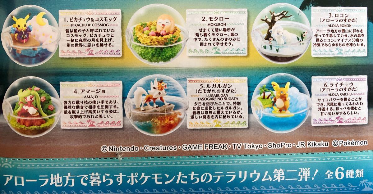 Paypayフリマ ポケモン 食玩 フィギュア ポケットモンスターテラリウムコレクションex Box