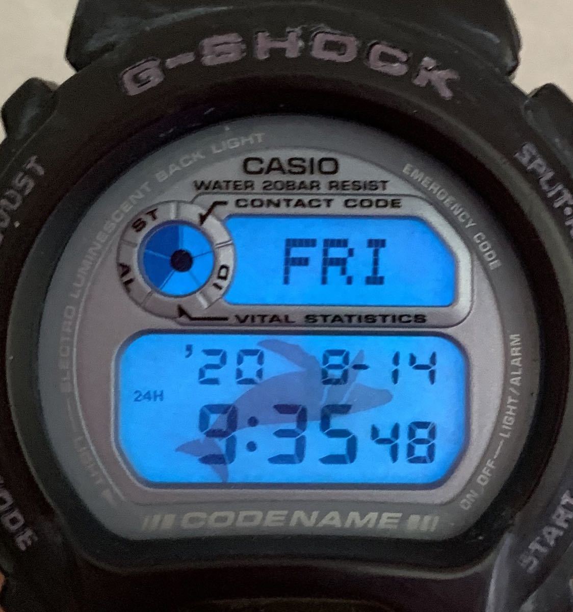 CASIO G-SHOCK DW-6910K-8BT 第6回イルクジ アルバニーグレー_画像3