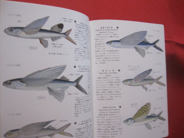 ☆原色魚類検索図鑑　１　　　改訂１３版　　(株)北隆館発行　　　　【自然・生物・知識】_画像7