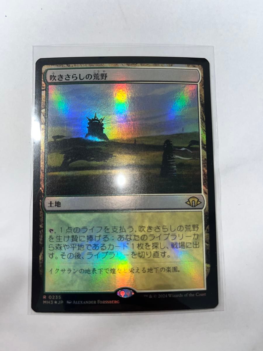 MTG 吹きさらしの荒野 foil MTG 吹きさらしの荒野 foil|Yahoo!フリマ(旧PayPayフリマ)