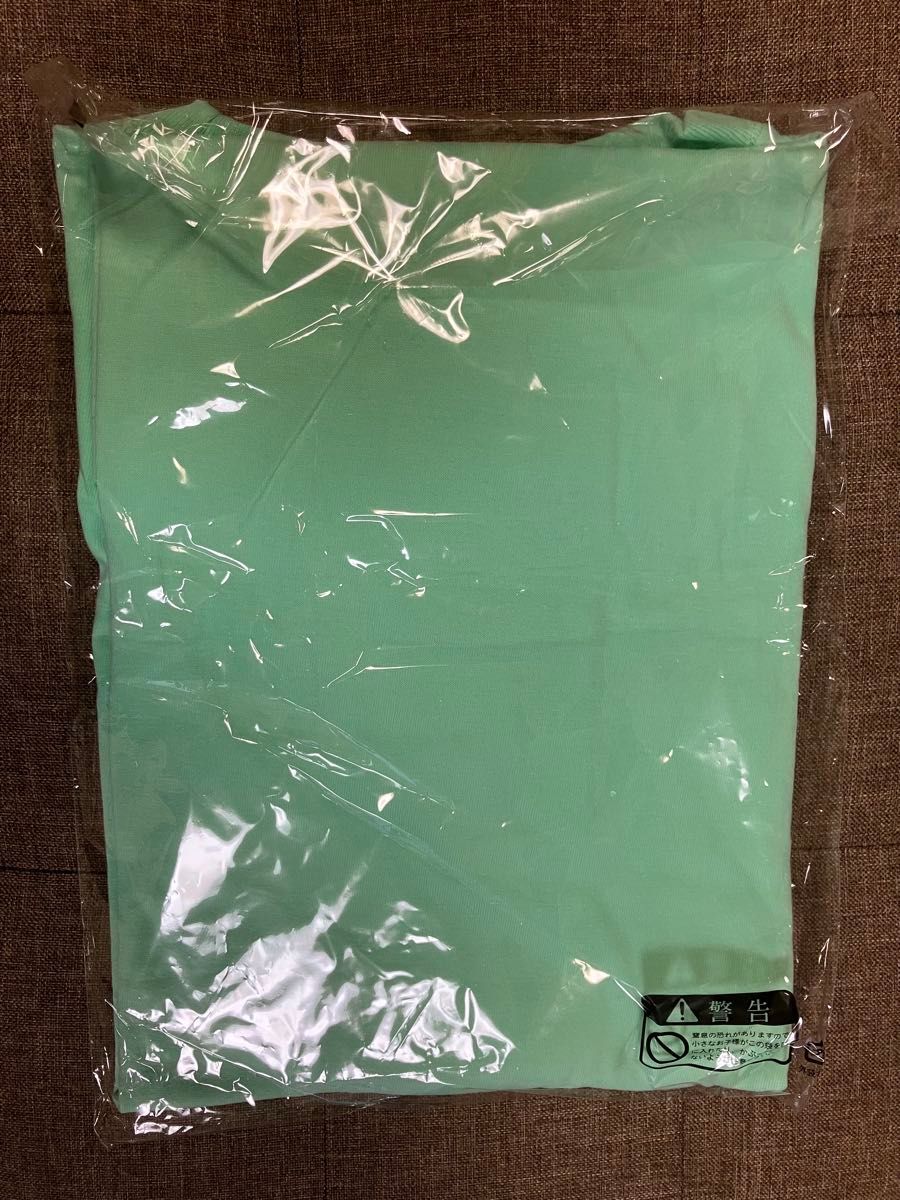 FRUITS ZIPPER Tシャツ ミントグリーン XL FRUITS ZIPPER 櫻井優衣 推しTシャツ ミントグリーン XLサイズ