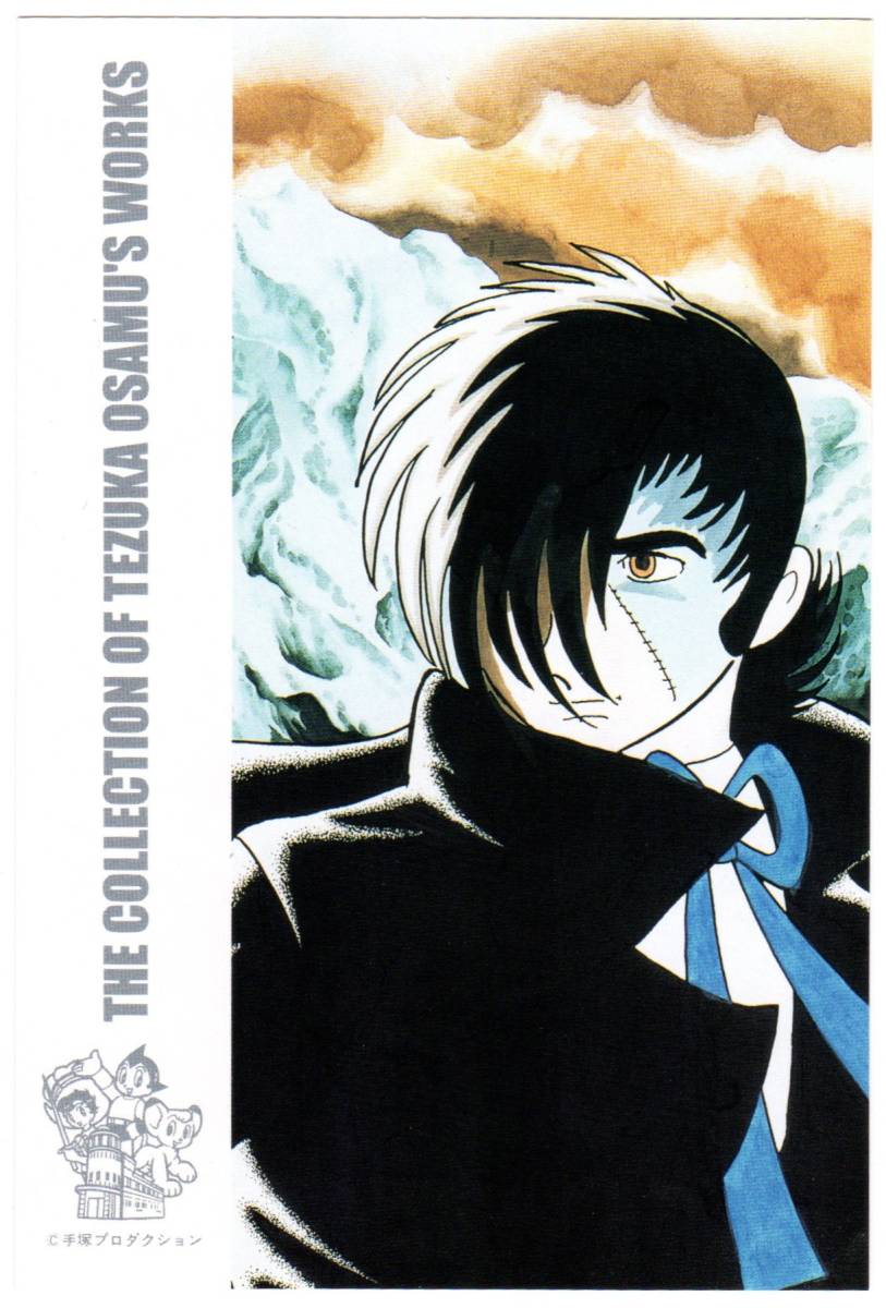 手塚治虫コレクション 地方版絵入りはがき/鉄腕アトム ジャングル大帝 リボンの騎士 他 50円はがき5枚 未使用 送料無料 熊五郎の切手 00091_画像5