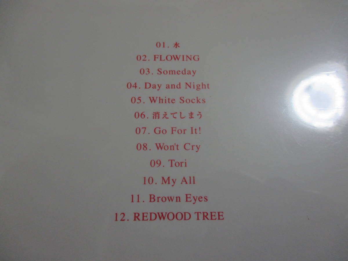 【新品未開封】CD YOSHIKA「RED WOOD TREE」紙ジャケット仕様　　発送クリックポスト_画像3