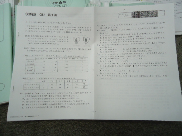 サピックス 正月特訓 志望校別講座*6年*理科/桜蔭 入試実戦演習