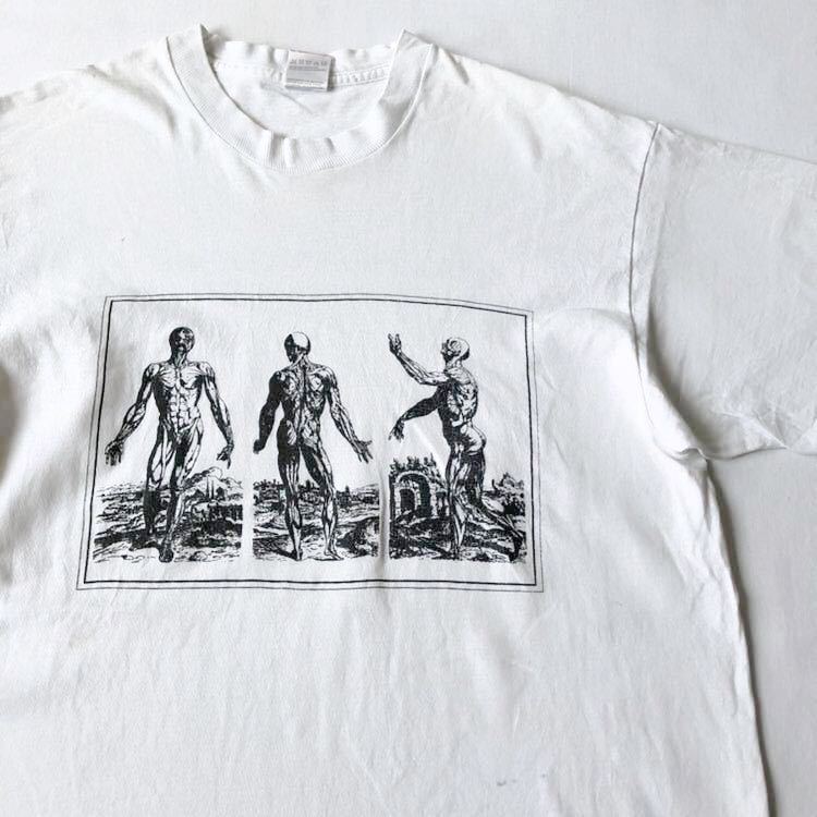90s 筋肉標本 Tシャツ L 白 USA製 ビンテージ 90年代 骨格標本 アメリカ製 米国製 オリジナル ヴィンテージ メディカルイラストレーター