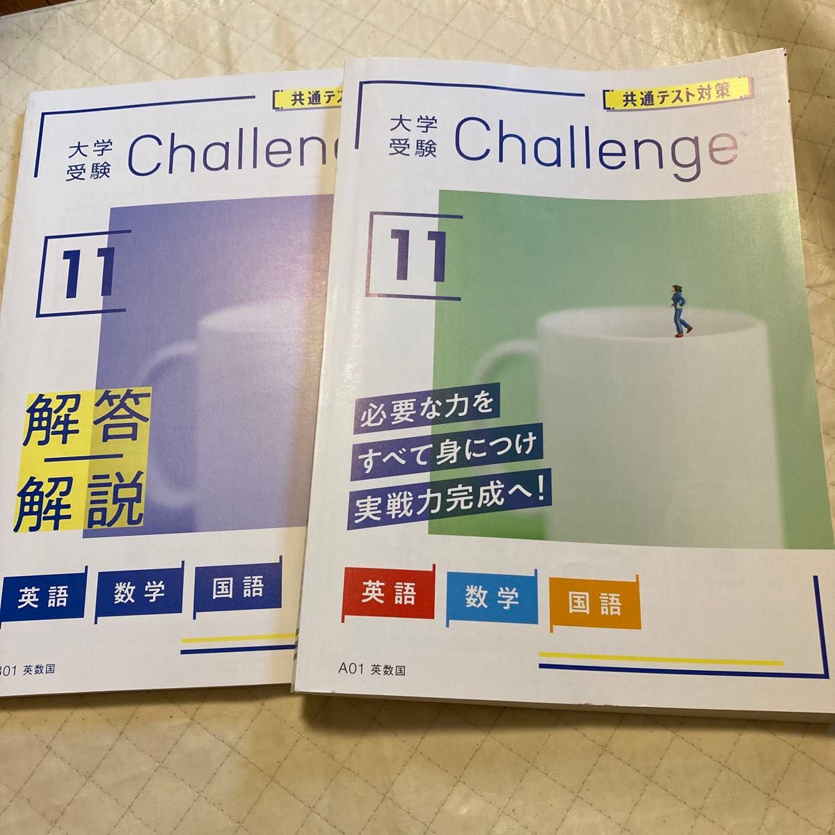 大学受験 共通テスト(英語数学国語物理化学生物社会),二次試験対策(英数化) 大学受験Challenge11 解答解説&共通テスト対策2冊セット 英語