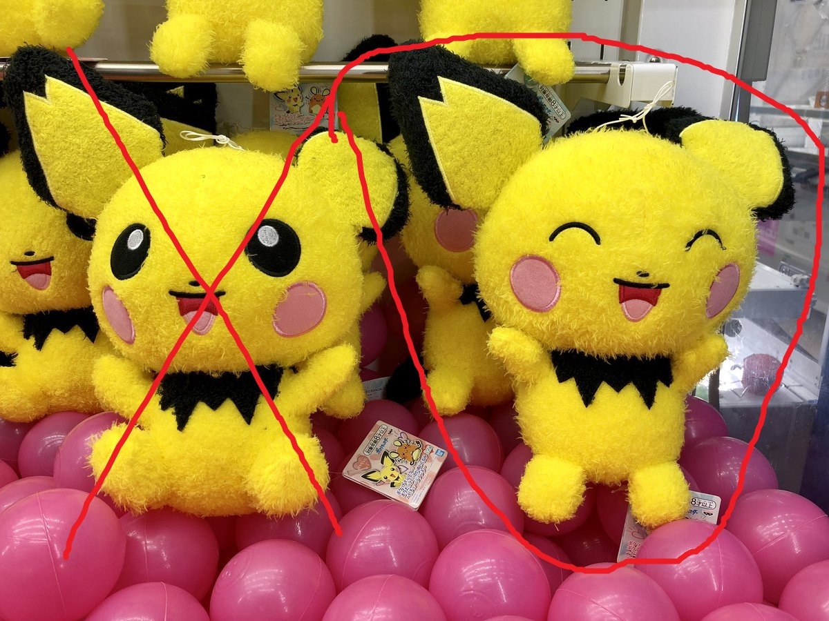 ピチュー ポケットモンスター ポケぎゅっと でっかいぬいぐるみ ピチュー・デデンネ 送料300円 歓び バンザイの画像4