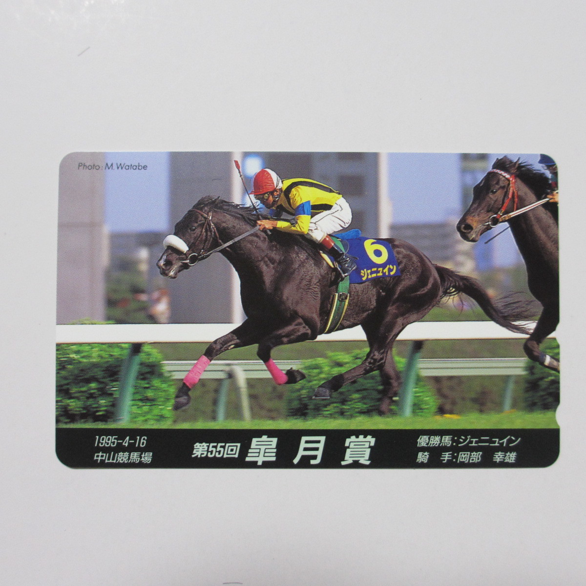 未使用 テレホンカード 50度 第55回 皐月賞 優勝馬 ジェニュイン 中山競馬場 騎手 岡部幸雄 1995年4月16日 競馬 テレカ テレフォンカード_画像1