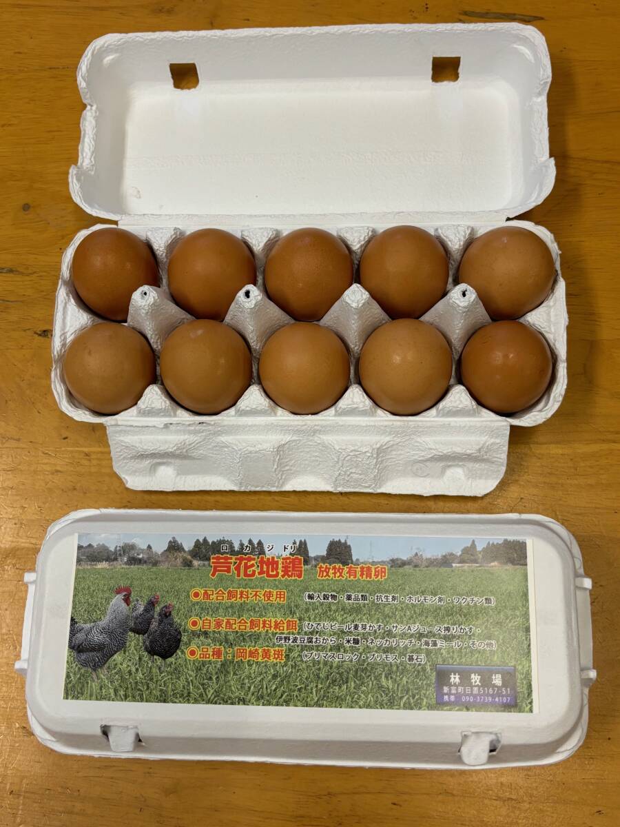 食用放牧有精卵10個入り4パック（自家配合給餌）?。o洗卵）（常溫発送）