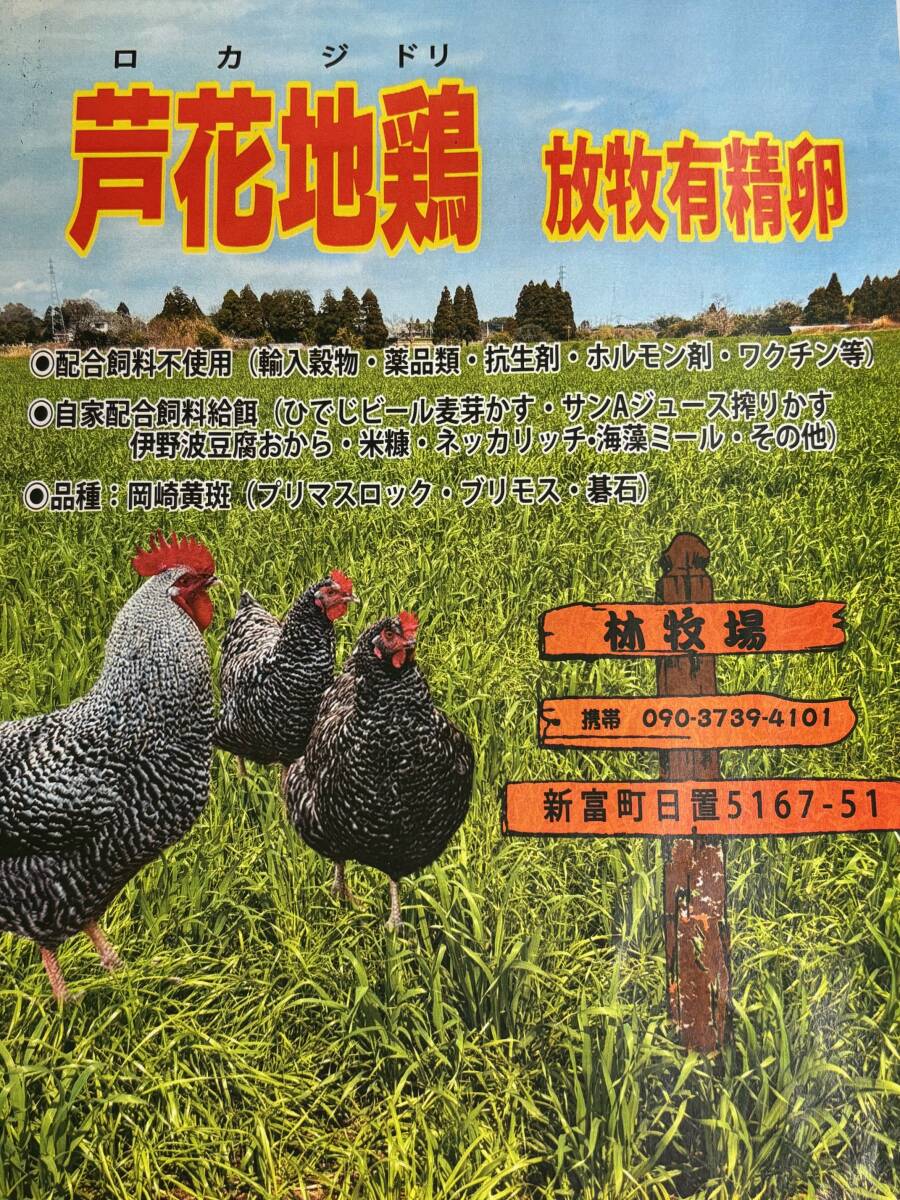 食用放牧有精卵10個入り4パック（自家配合給餌）?。o洗卵）（常溫発送）