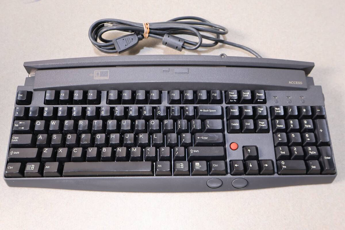 G7853 P ACCESS キーボード AKEATUA307/5-AT619 USB 有線 日本語配列 Windows対応 デスクトップPC/ノートPC兼用 レトロ ビンテージ 動作品_画像1