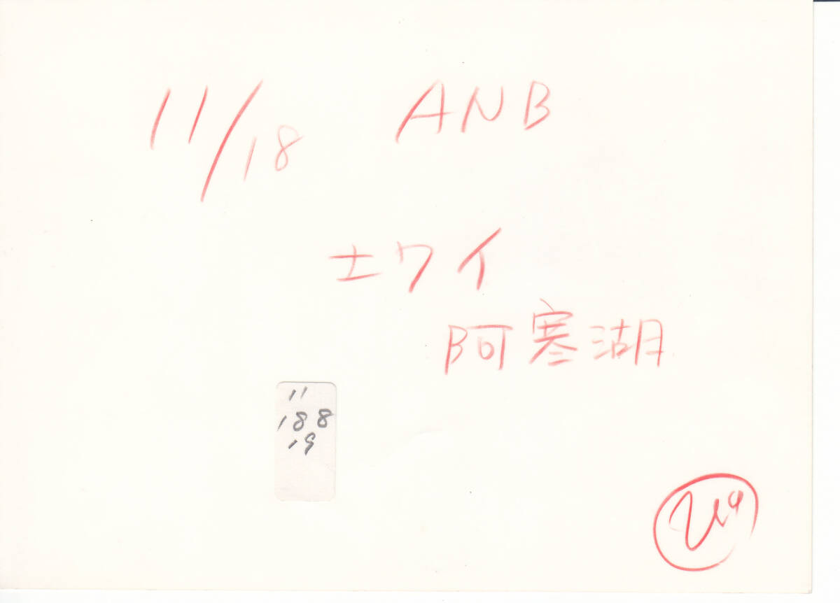 １０７ 河合奈保子さん、名高達(dá)也さんのちょっと大きな白黒寫真　２枚