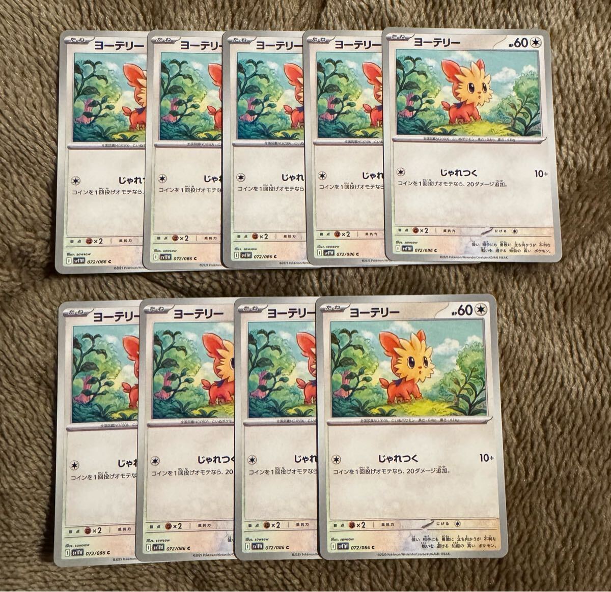 ポケモンカード ヨーテリー C（sv11W 072/086）たね じゃれつく ホワイトフレア 1枚（在庫９枚）_画像3