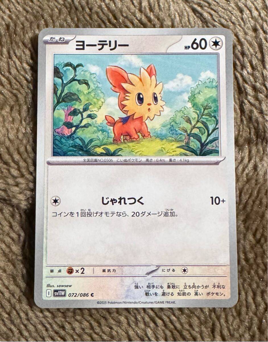 ポケモンカード ヨーテリー C（sv11W 072/086）たね じゃれつく ホワイトフレア 1枚（在庫９枚）_画像1