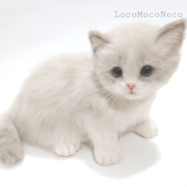 LocoMocoNeco 羊毛フェルト 貓 ラグドールの子貓 ハンドメイド リアル ドール インテリア ろこもこねこ