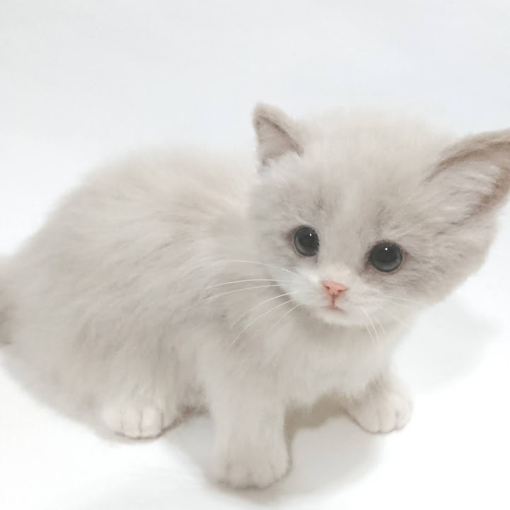 LocoMocoNeco 羊毛フェルト 貓 ラグドールの子貓 ハンドメイド リアル ドール インテリア ろこもこねこ