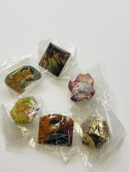 未使用！ PINS ピンズ 　〜 BLEACH　PART３　全12種類 〜　_画像5