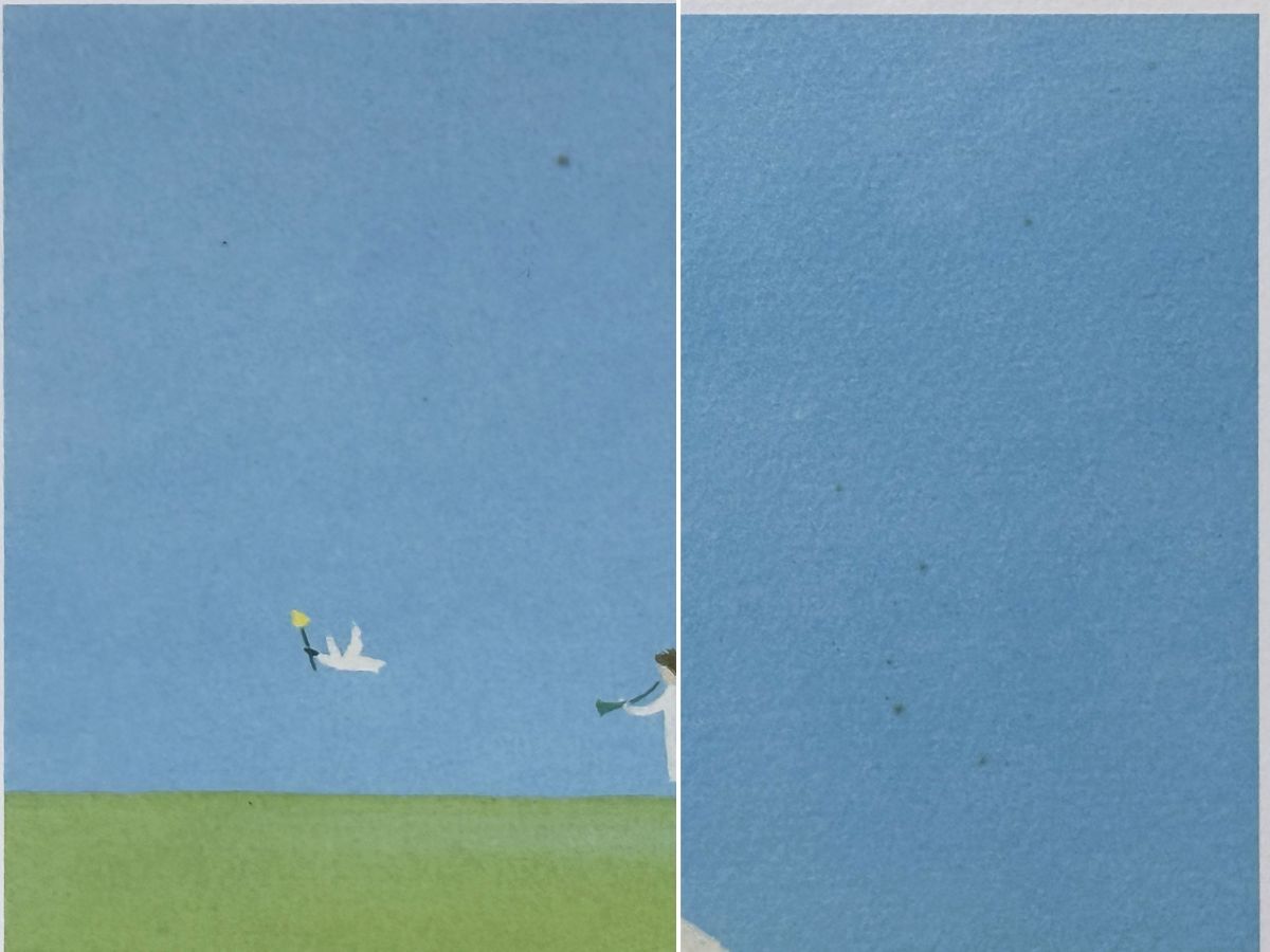 9159 葉祥明 「喜びの詩」 ダイヤモンドスクリーニング 額装 真作 熊本県 検:童画 挿絵 やなせたかし_画像8