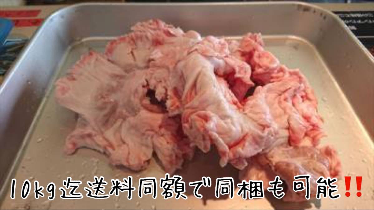 大トロホルモン 超希少 北海道産 豚きく脂1.0kg×2 きくあぶら 串料理 國産豚 キク脂 菊脂 キクアブラ プリプリ10kg迄送料同額 同梱可能！