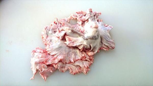 大トロホルモン 超希少 北海道産 豚きく脂1.0kg×2 きくあぶら 串料理 國産豚 キク脂 菊脂 キクアブラ プリプリ10kg迄送料同額 同梱可能！