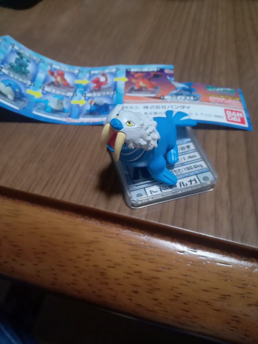 ポケモン　フルカラーアドバンス　06　トドゼルガ_画像2