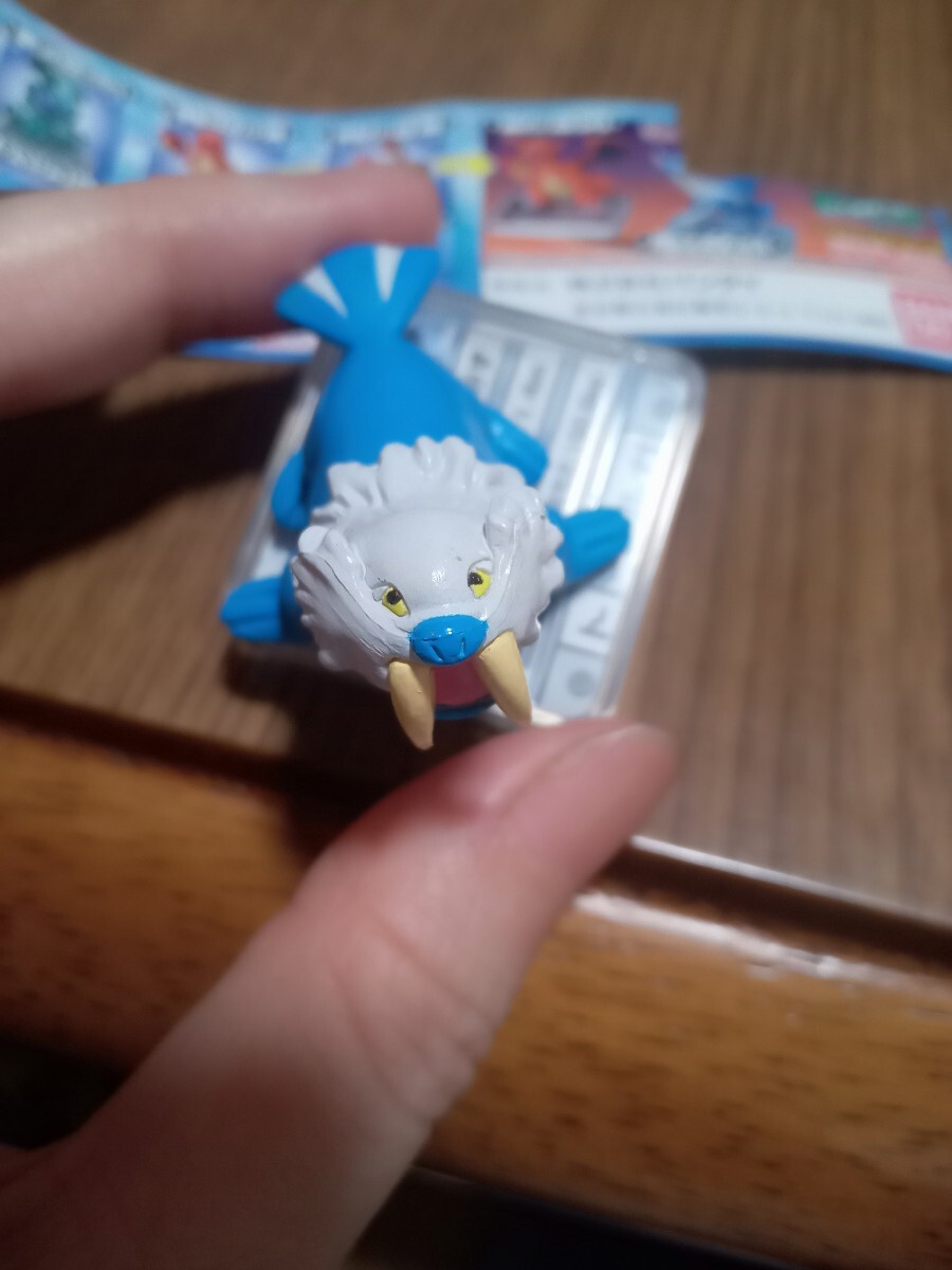 ポケモン　フルカラーアドバンス　06　トドゼルガ_画像4