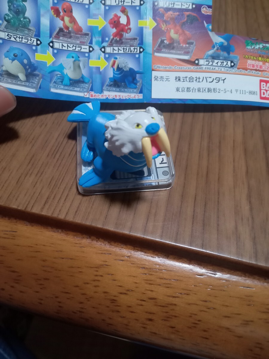 ポケモン　フルカラーアドバンス　06　トドゼルガ_画像5