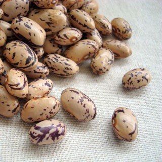 クリアランスセール 中長うずら豆 800g 2024年産 令和6年産 北海道産 チャックつき 送料無料 メール便 [M便 1/2]