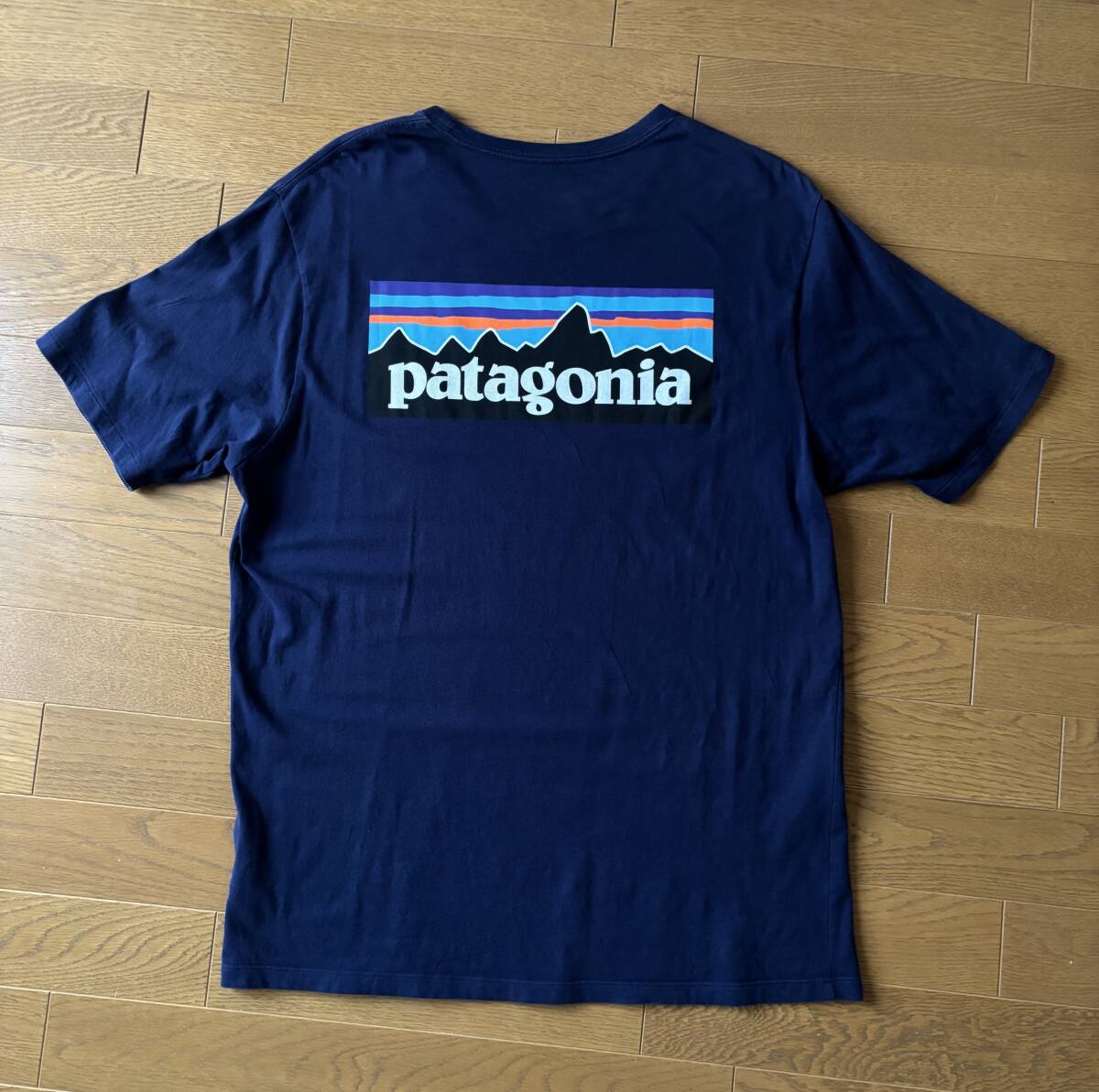 patagonia Tシャツ メンズ パタゴニア M