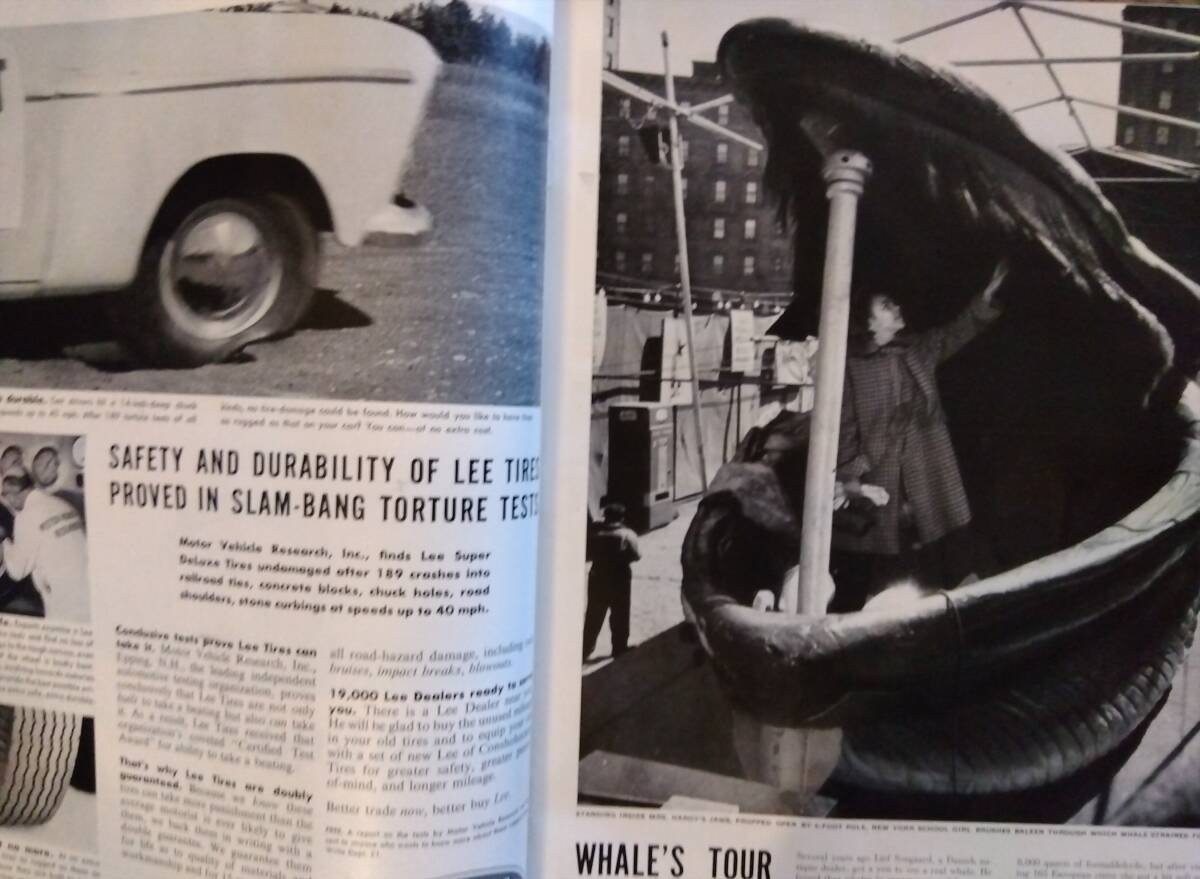 海外雑志　LIFE（ライフ） 1954年４月２６日號