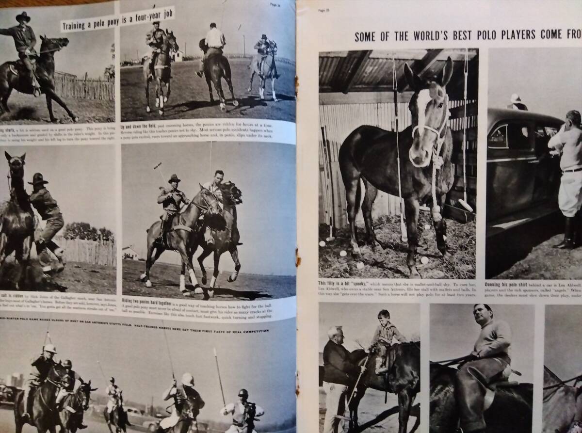 海外雑志　LIFE（ライフ） 1939年２月１３日號